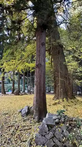 柳津虚空蔵尊 寳性院(宮城県)