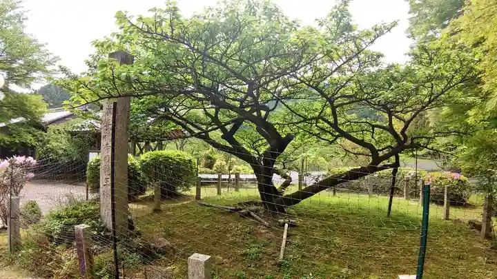 長徳寺(三重県)