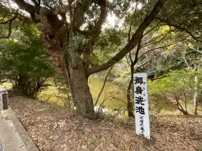 白兎神社(鳥取県)
