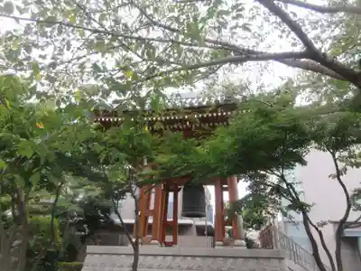 伝通院(東京都)