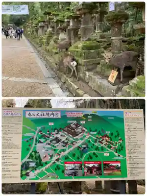 春日大社(奈良県)