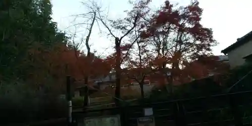 敷地神社（わら天神宮）のその他建物