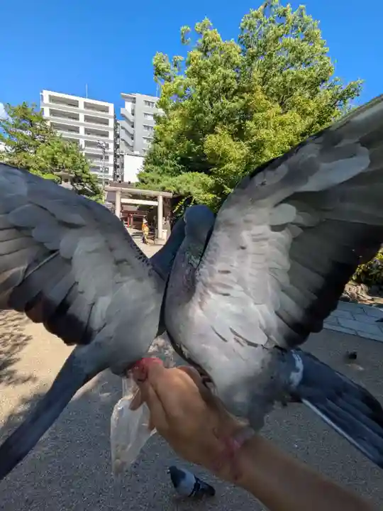 四柱神社(長野県)