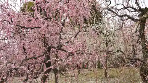 城南宮の庭園