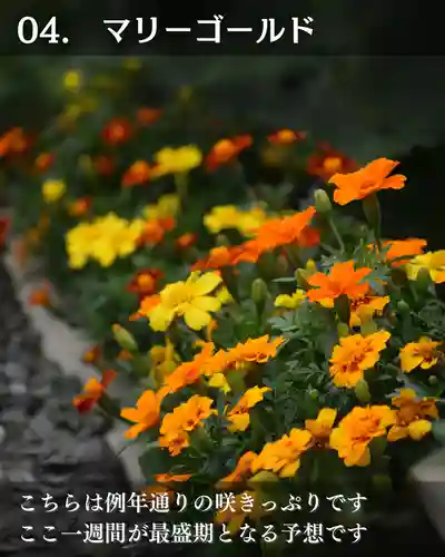 宝光寺(北海道)