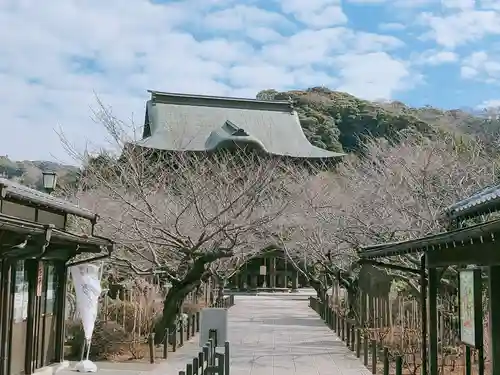 建長寺(神奈川県)