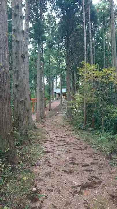 大日孁神社の周辺