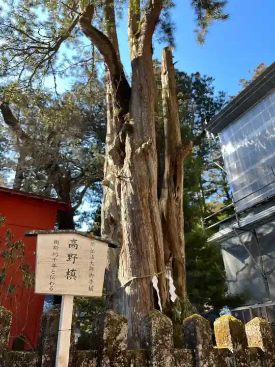 日光二荒山神社の{uncategorized: "未分類", other: "その他", undefined: "問題あり", building: "その他建物", grave: "お墓", sacred_gate: "鳥居", guardian: "狛犬", statue: "像", buddha: "仏像", history: "歴史", nature: "自然", garden: "庭園", animal: "動物", pagoda: "塔", temizu: "手水舎", mountain_gate: "山門・神門", sanctuary: "本殿・本堂", subordinate: "末社・摂社", art: "芸術", scenery: "景色", jizo: "地蔵", ema: "絵馬", goshuin: "御朱印", omikuji: "おみくじ", items: "授与品その他", amulet: "お守り", goshuincho: "御朱印帳", eats: "食事", festival: "お祭り", votive_dance: "神楽", shichigosan: "七五三参", wedding: "結婚式", experience: "体験その他", initially: "初詣", around: "周辺", anti_infection: "感染症対策"}