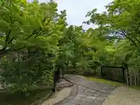 法金剛院(京都府)