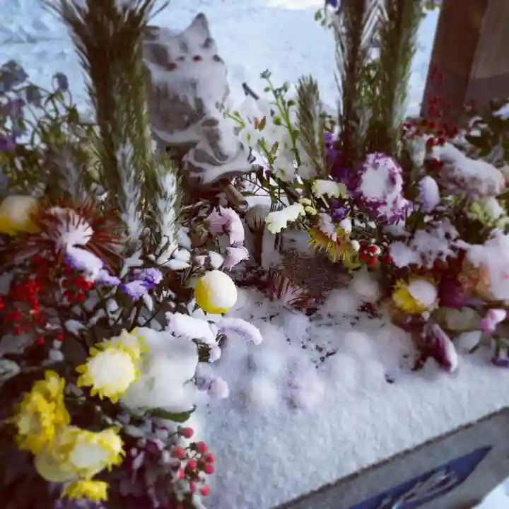 滑川神社 - 仕事と子どもの守り神の手水舎