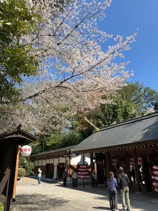 櫻木神社(千葉県)