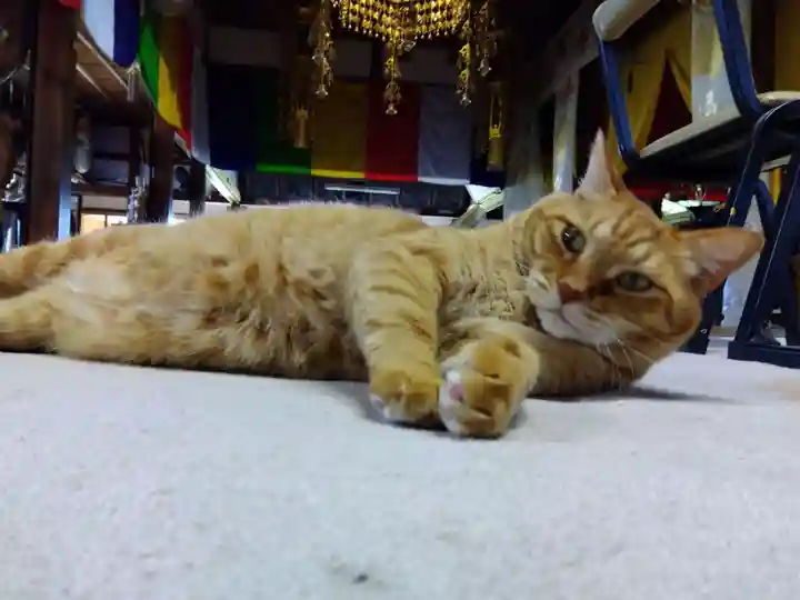 龍岳院(愛知県)