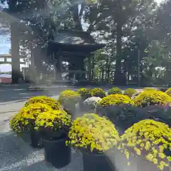 比々多神社(神奈川県)