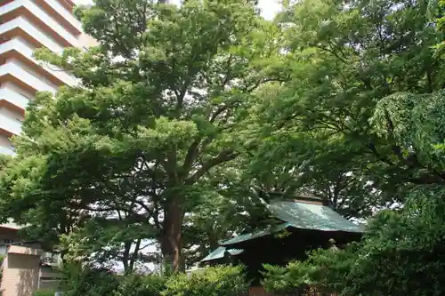 愛宕神社の景色