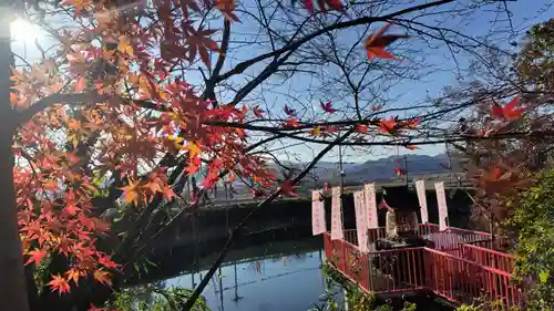 出雲大神宮の景色