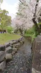 富士山本宮浅間大社の庭園