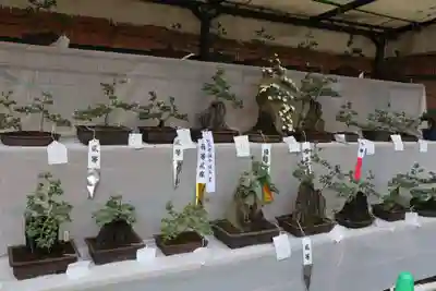 高麗神社(埼玉県)