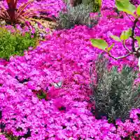 寿量山 速成寺の庭園