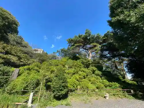 武州白子熊野神社の自然