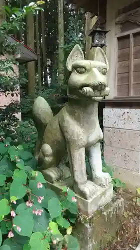 安住神社の狛犬