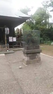 御霊神社の狛犬