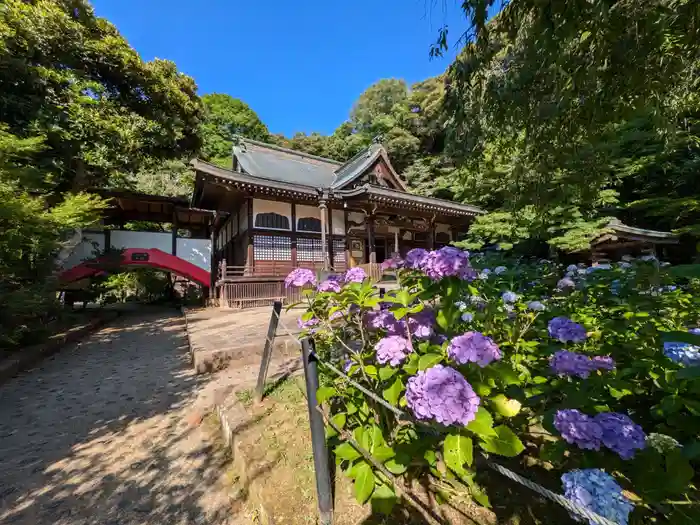 本土寺の建物その他