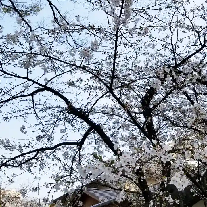 木場 洲﨑神社の自然