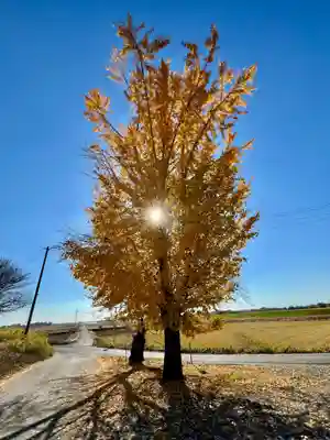 船玉神社(茨城県)
