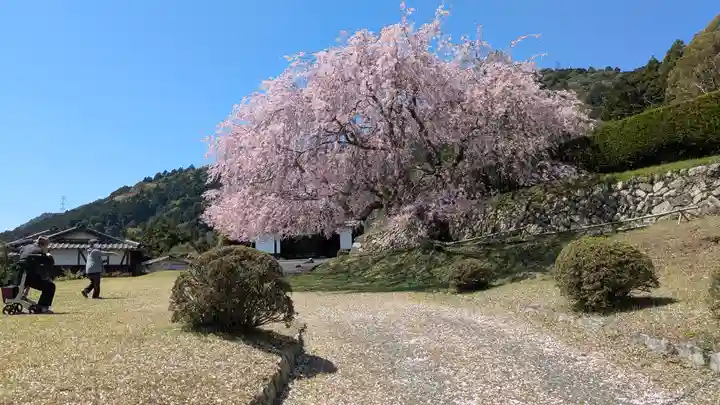 泰門庵(滋賀県)