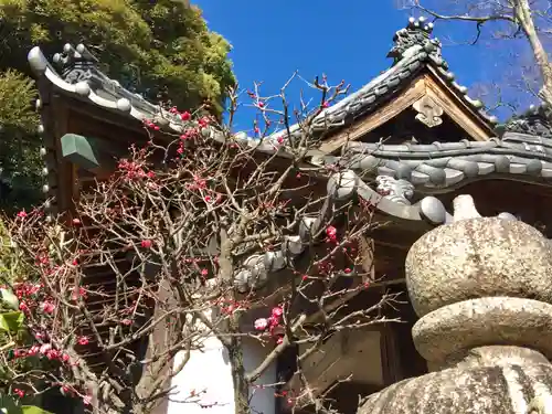法華経寺(千葉県)