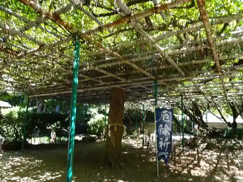 住吉神社の庭園