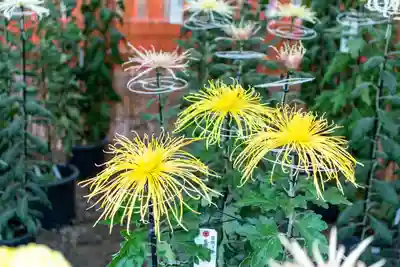 生島足島神社(長野県)