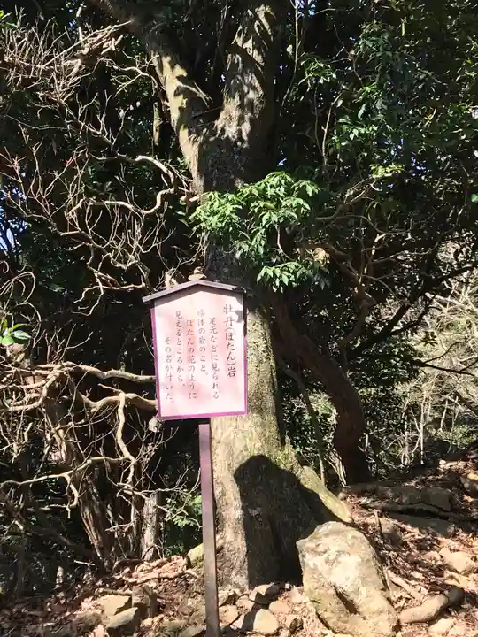 大山阿夫利神社本社のその他建物