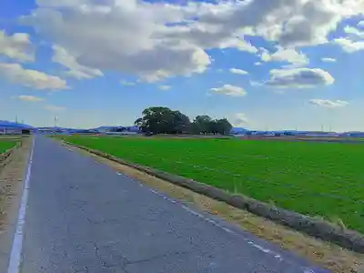 稲荷社（岩根稲荷社）の自然