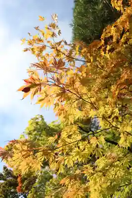 輪王寺(栃木県)
