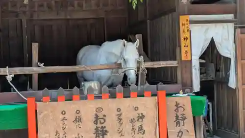 賀茂別雷神社（上賀茂神社）(京都府)