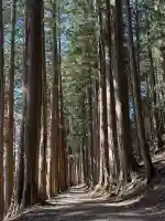 三峯神社奥宮の{uncategorized: "未分類", other: "その他", undefined: "問題あり", building: "その他建物", grave: "お墓", sacred_gate: "鳥居", guardian: "狛犬", statue: "像", buddha: "仏像", history: "歴史", nature: "自然", garden: "庭園", animal: "動物", pagoda: "塔", temizu: "手水舎", mountain_gate: "山門・神門", sanctuary: "本殿・本堂", subordinate: "末社・摂社", art: "芸術", scenery: "景色", jizo: "地蔵", ema: "絵馬", goshuin: "御朱印", omikuji: "おみくじ", items: "授与品その他", amulet: "お守り", goshuincho: "御朱印帳", eats: "食事", festival: "お祭り", votive_dance: "神楽", shichigosan: "七五三参", wedding: "結婚式", experience: "体験その他", initially: "初詣", around: "周辺", anti_infection: "感染症対策"}