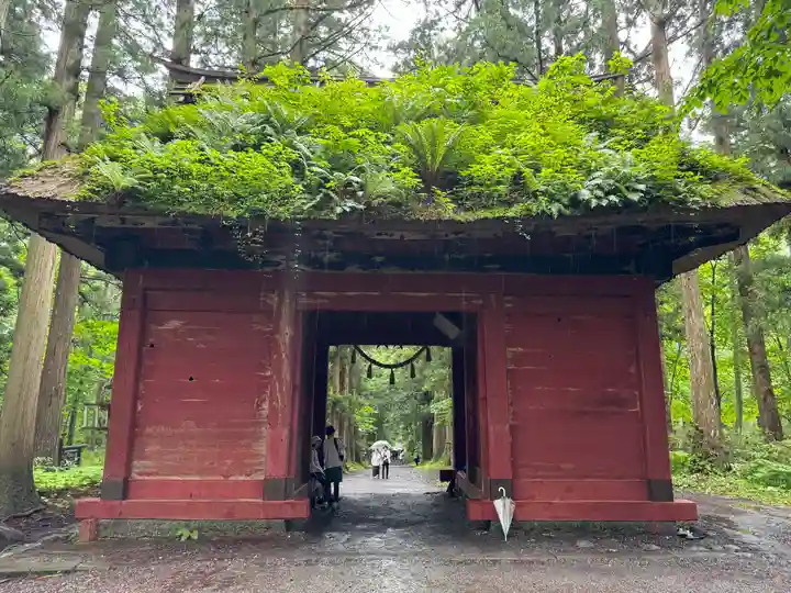 戸隠神社奥社(長野県)