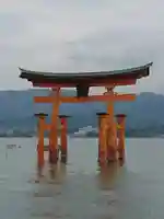 厳島神社の鳥居