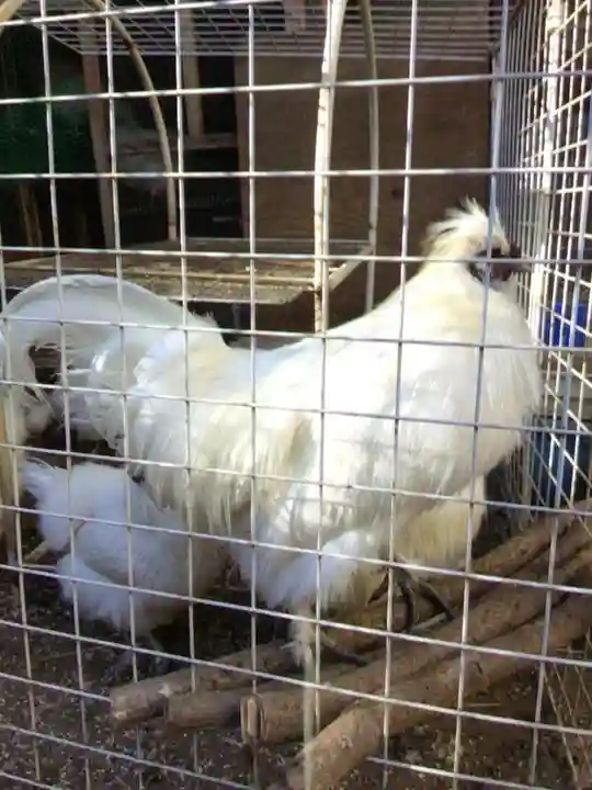 榮久山大法寺(東京都)