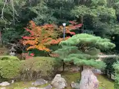 くろ谷 金戒光明寺(京都府)