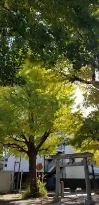 高木神社の鳥居