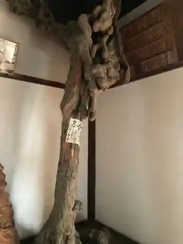 星谷寺(神奈川県)