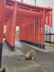 水野社(愛知県)