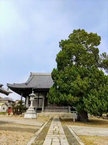 蓮念寺の本殿