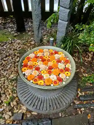 行田八幡神社の{uncategorized: "未分類", other: "その他", undefined: "問題あり", building: "その他建物", grave: "お墓", sacred_gate: "鳥居", guardian: "狛犬", statue: "像", buddha: "仏像", history: "歴史", nature: "自然", garden: "庭園", animal: "動物", pagoda: "塔", temizu: "手水舎", mountain_gate: "山門・神門", sanctuary: "本殿・本堂", subordinate: "末社・摂社", art: "芸術", scenery: "景色", jizo: "地蔵", ema: "絵馬", goshuin: "御朱印", omikuji: "おみくじ", items: "授与品その他", amulet: "お守り", goshuincho: "御朱印帳", eats: "食事", festival: "お祭り", votive_dance: "神楽", shichigosan: "七五三参", wedding: "結婚式", experience: "体験その他", initially: "初詣", around: "周辺", anti_infection: "感染症対策"}