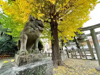 桃山天満宮の狛犬