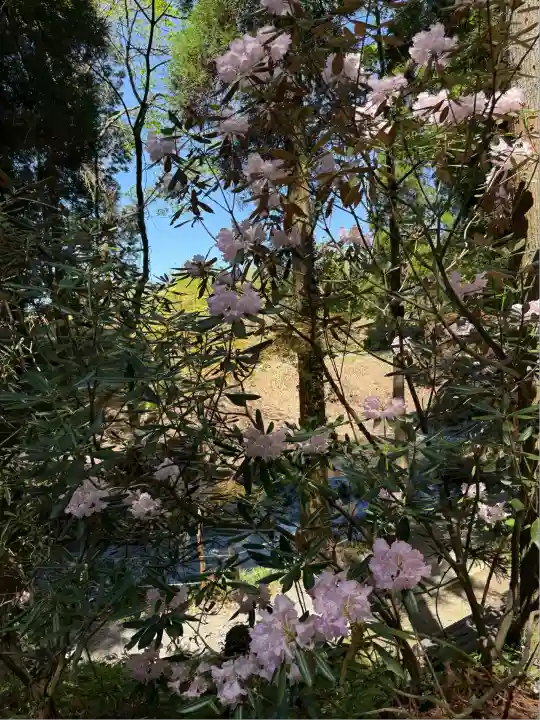 白川吉見神社(熊本県)
