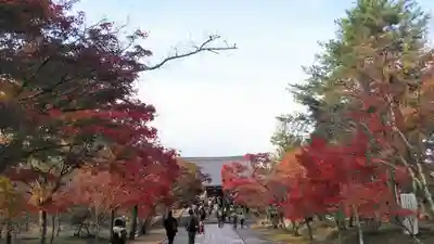 仁和寺のその他建物