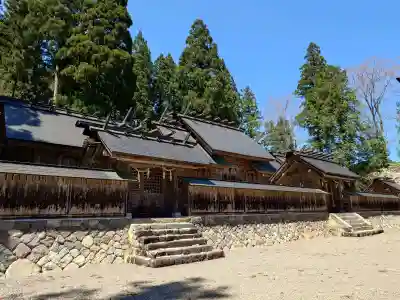 白山神社（長滝神社・白山長瀧神社・長滝白山神社）の{uncategorized: "未分類", other: "その他", undefined: "問題あり", building: "その他建物", grave: "お墓", sacred_gate: "鳥居", guardian: "狛犬", statue: "像", buddha: "仏像", history: "歴史", nature: "自然", garden: "庭園", animal: "動物", pagoda: "塔", temizu: "手水舎", mountain_gate: "山門・神門", sanctuary: "本殿・本堂", subordinate: "末社・摂社", art: "芸術", scenery: "景色", jizo: "地蔵", ema: "絵馬", goshuin: "御朱印", omikuji: "おみくじ", items: "授与品その他", amulet: "お守り", goshuincho: "御朱印帳", eats: "食事", festival: "お祭り", votive_dance: "神楽", shichigosan: "七五三参", wedding: "結婚式", experience: "体験その他", initially: "初詣", around: "周辺", anti_infection: "感染症対策"}